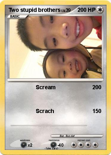 Pokemon Two stupid brothers