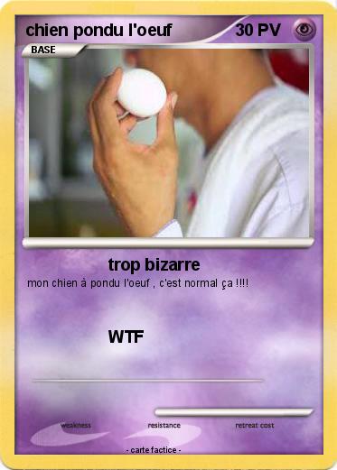 Pokemon chien pondu l'oeuf