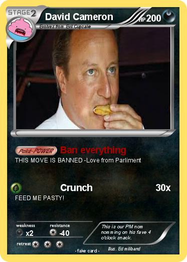 Pokemon David Cameron