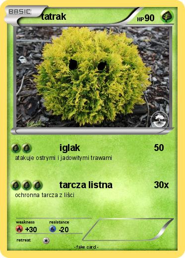 Pokemon tatrak