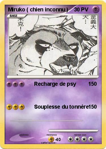 Pokemon Miruko ( chien inconnu )