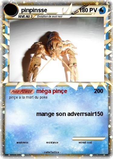 Pokemon pinpinsse