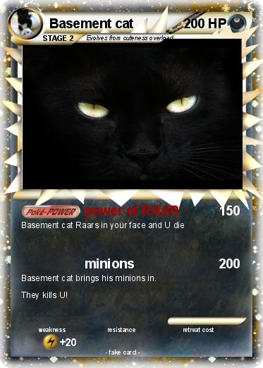 Pokemon Basement cat