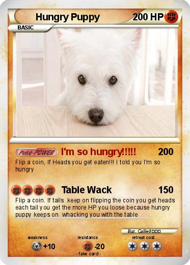 Pokemon Hungry Puppy