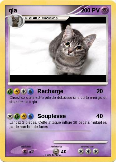 Pokemon qia