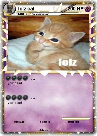 Pokemon lolz cat