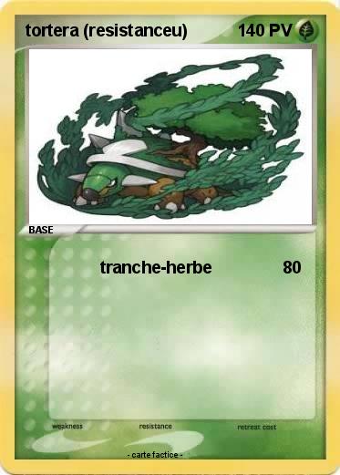 Pokemon tortera (resistanceu)