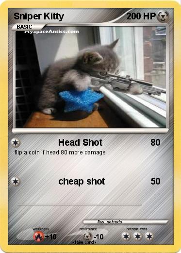 Pokemon Sniper Kitty