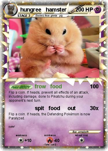 Pokemon hungree   hamster