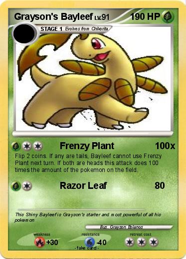 Pokemon Grayson's Bayleef