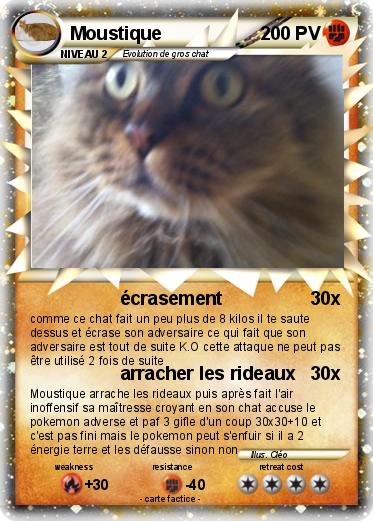 Pokemon Moustique