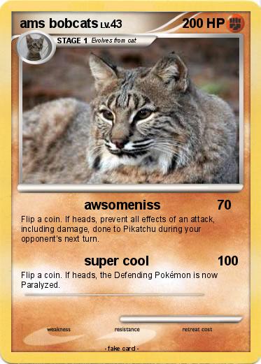 Pokemon ams bobcats