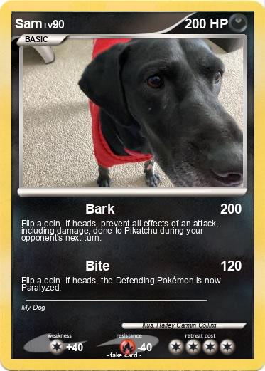 Pokemon Sam