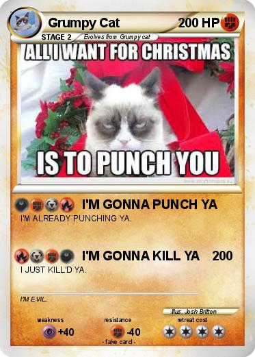 Pokemon Grumpy Cat