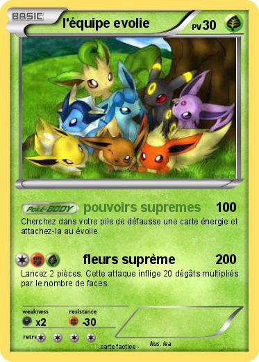 Pokemon l'équipe evolie