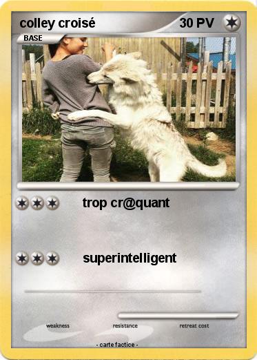 Pokemon colley croisé