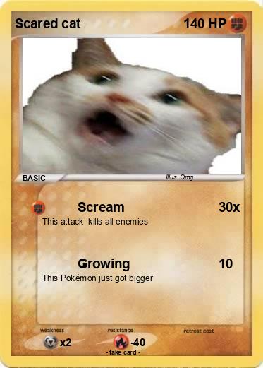 Pokemon Scared cat