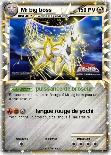 Pokemon Mr big boss