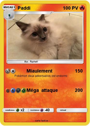 Pokemon Paddi