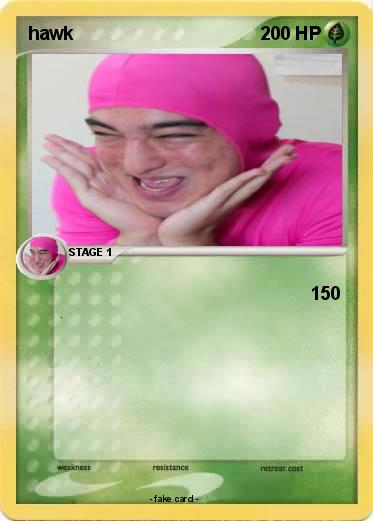 Pokemon hawk