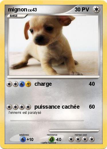 Pokemon mignon