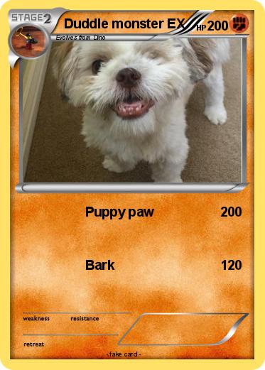 Pokemon Duddle monster EX