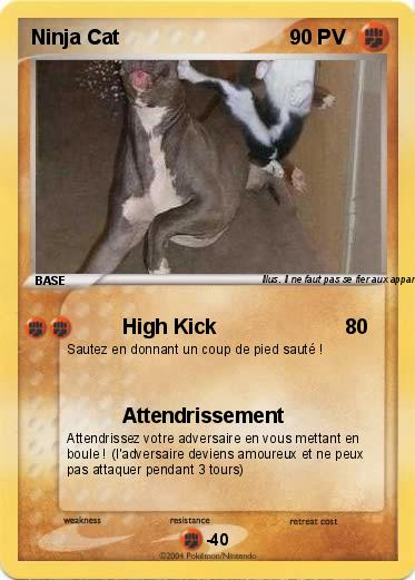 Pokemon Ninja Cat