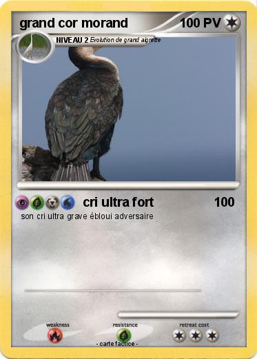 Pokemon grand cor morand