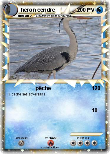 Pokemon heron cendre