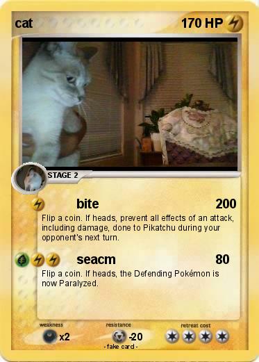 Pokemon cat