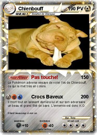 Pokemon Chienbouff