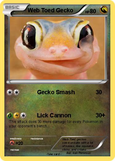 Pokemon Web Toed Gecko