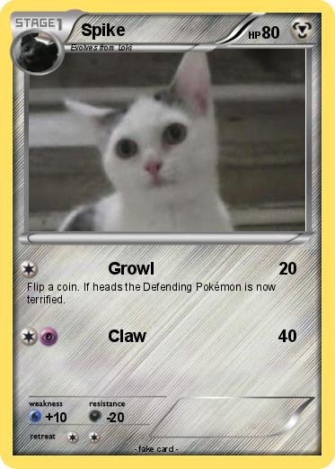 Pokemon Spike
