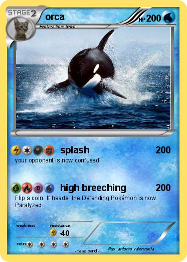 Pokemon orca