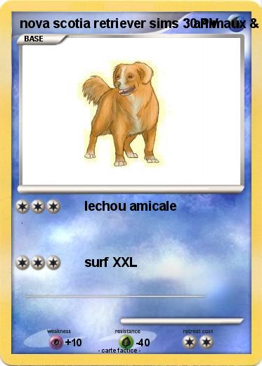 Pokemon nova scotia retriever sims 3 animaux & cie