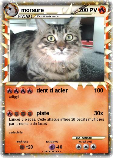 Pokemon morsure