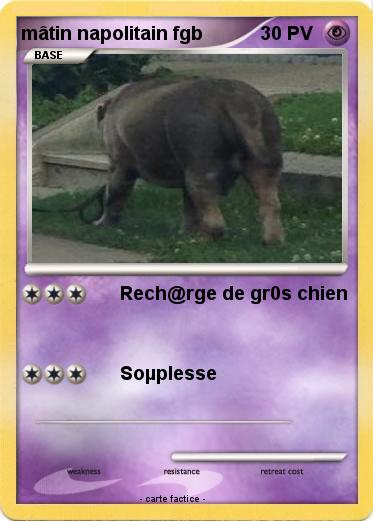 Pokemon mâtin napolitain fgb