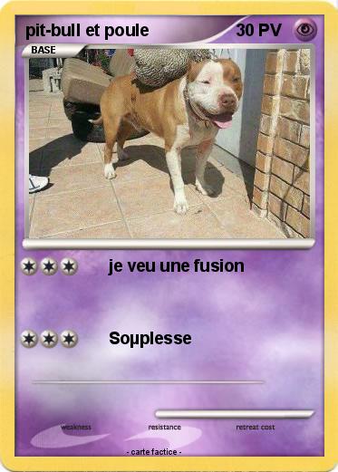 Pokemon pit-bull et poule
