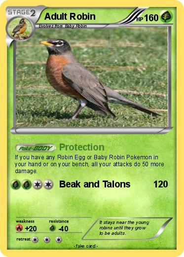 Pokemon Adult Robin