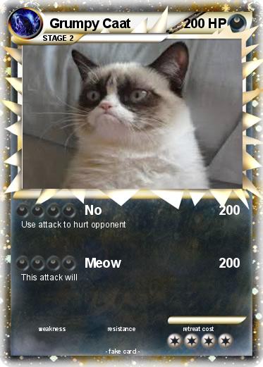 Pokemon Grumpy Caat