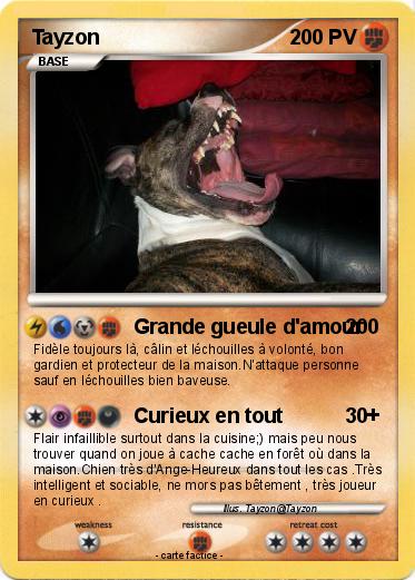 Pokemon Tayzon