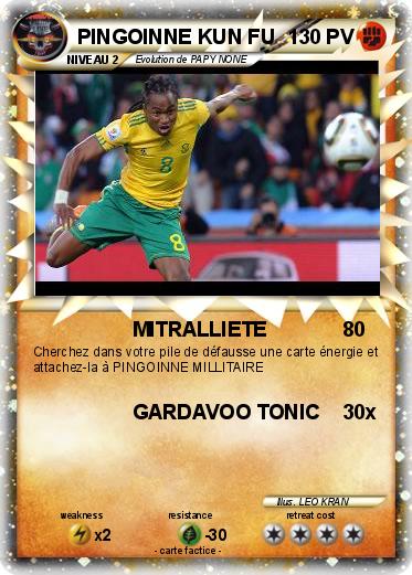 Pokemon PINGOINNE KUN FU