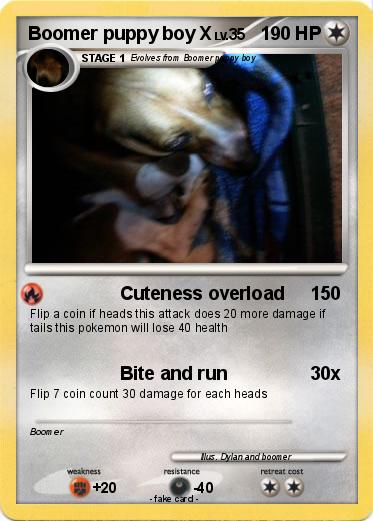 Pokemon Boomer puppy boy X