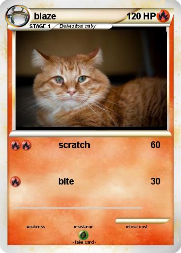 Pokemon blaze