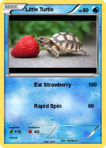 Pokemon Little Turtle