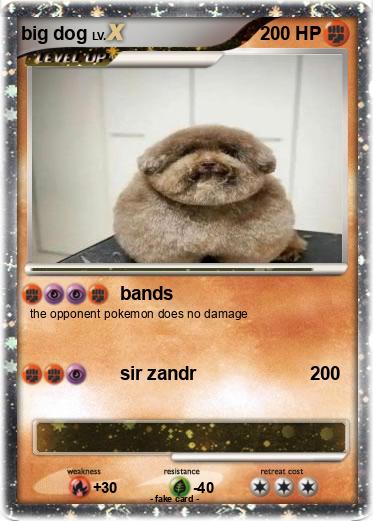 Pokemon big dog