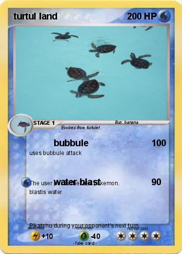 Pokemon turtul land