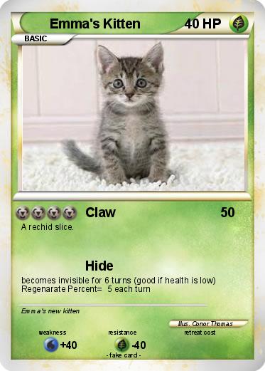 Pokemon Emma's Kitten