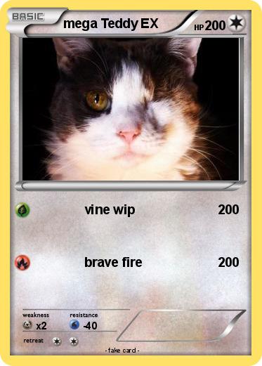 Pokemon mega Teddy EX