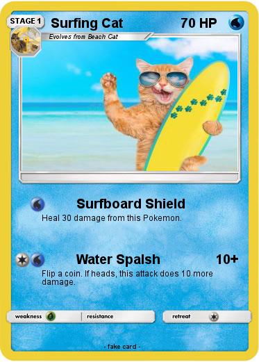 Pokemon Surfing Cat